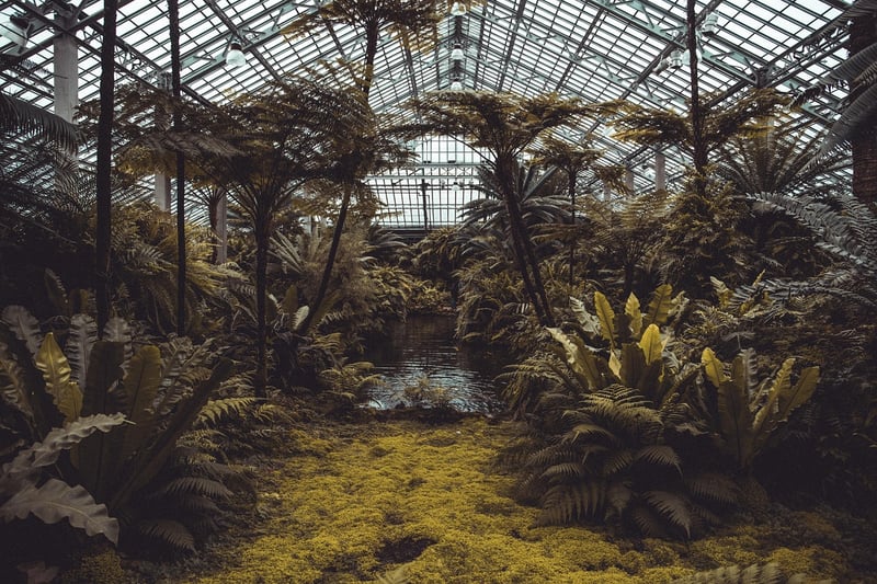 Greenhouse in a garden